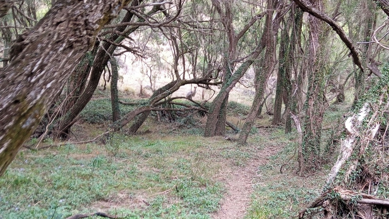 Photo of Others in Colinton