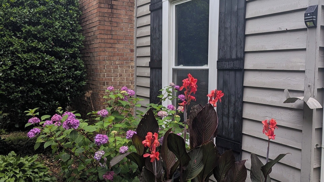 Photo of Outdoor in Dunwoody