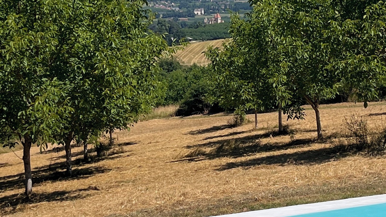 Photo of Outdoor in Veyrines-de-Domme