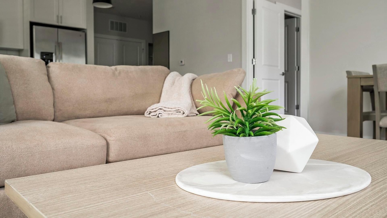 Photo of Livingroom in Matthews