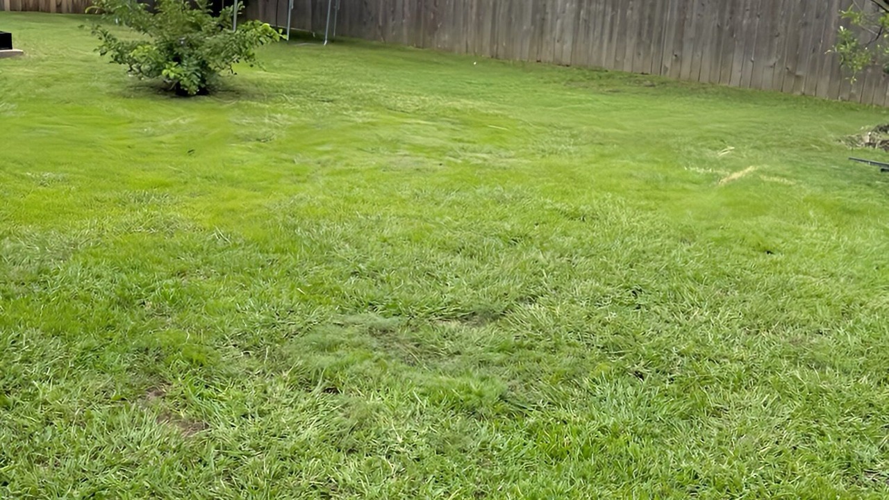 Photo of Outdoor in Wylie
