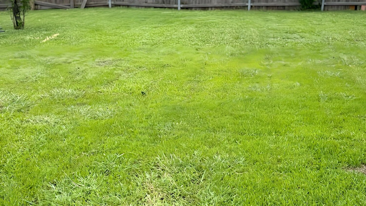 Photo of Outdoor in Wylie