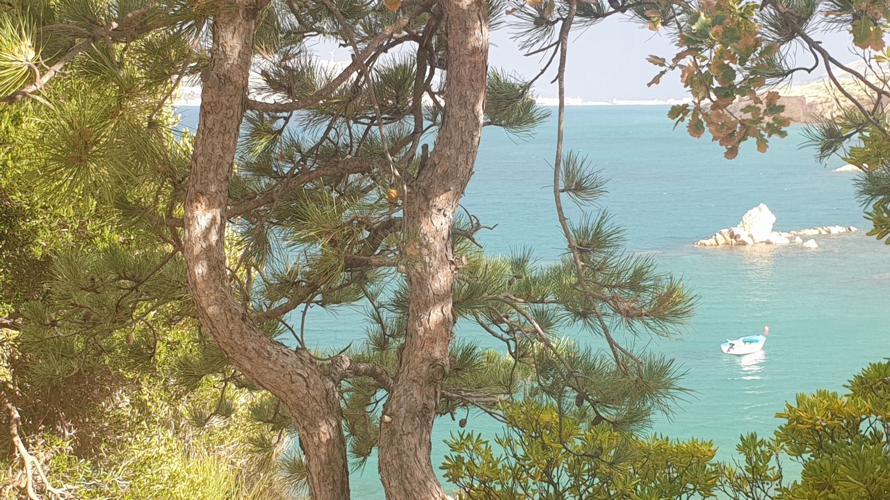 Photo of Others in Pag