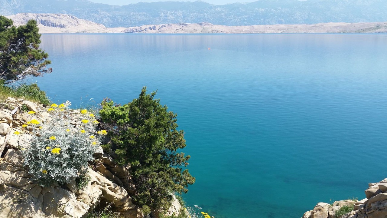 Photo of Others in Pag