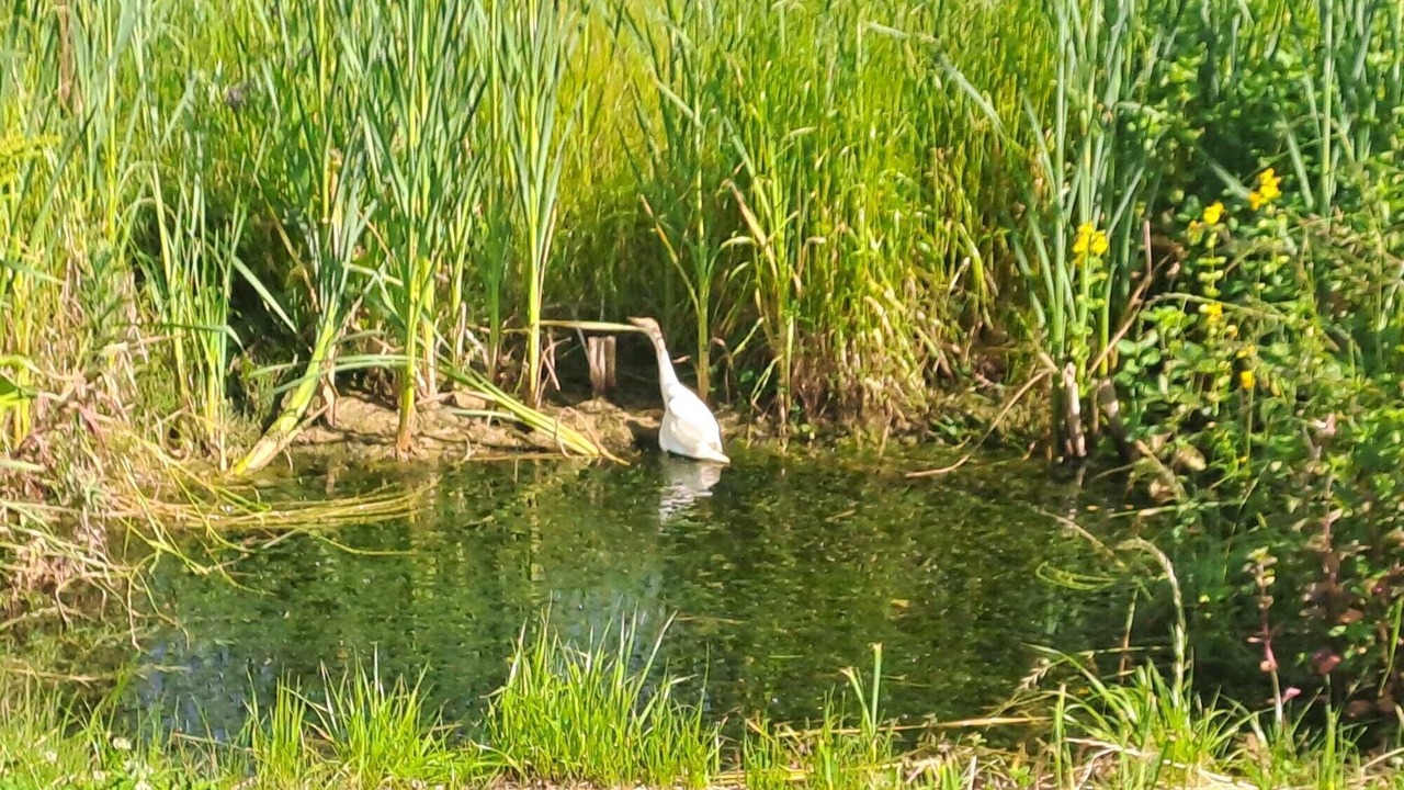 Photo of Others in Montmaurin