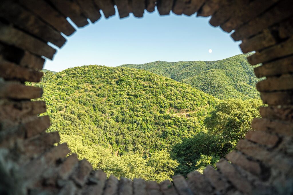 Photo of Others in Saint-Roman-de-Codieres