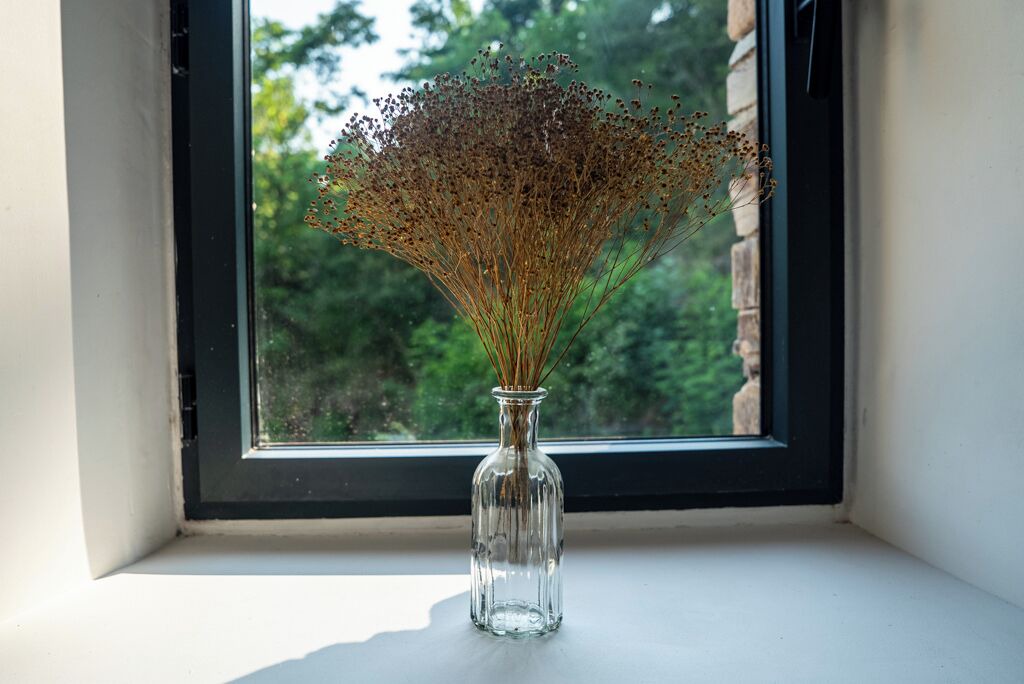 Photo of Others in Saint-Roman-de-Codieres