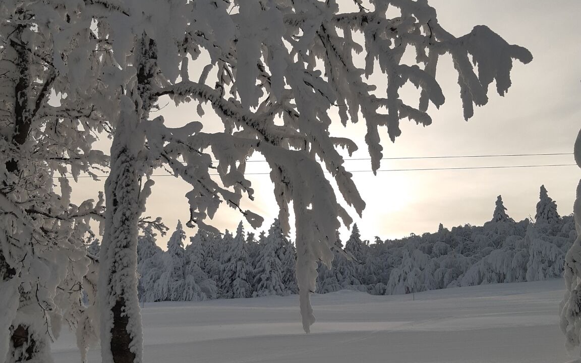 Photo of Others in Chalmazel-Jeansagniere