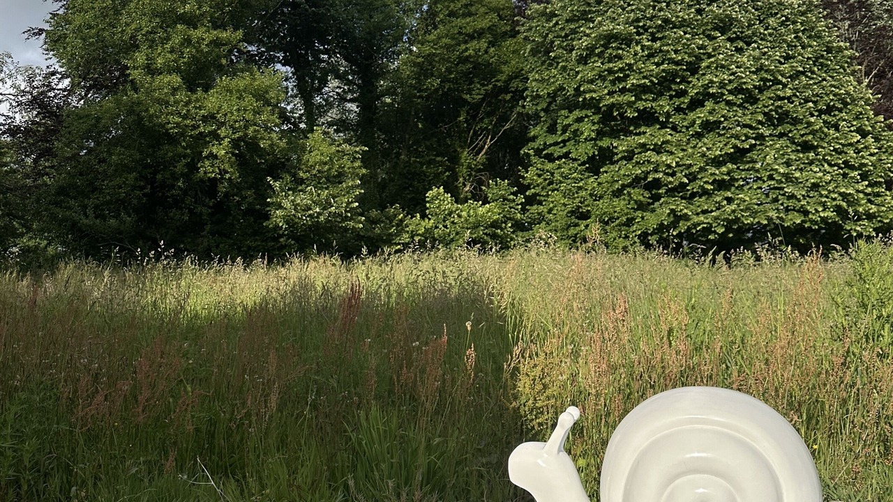 Photo of Outdoor in Sizun