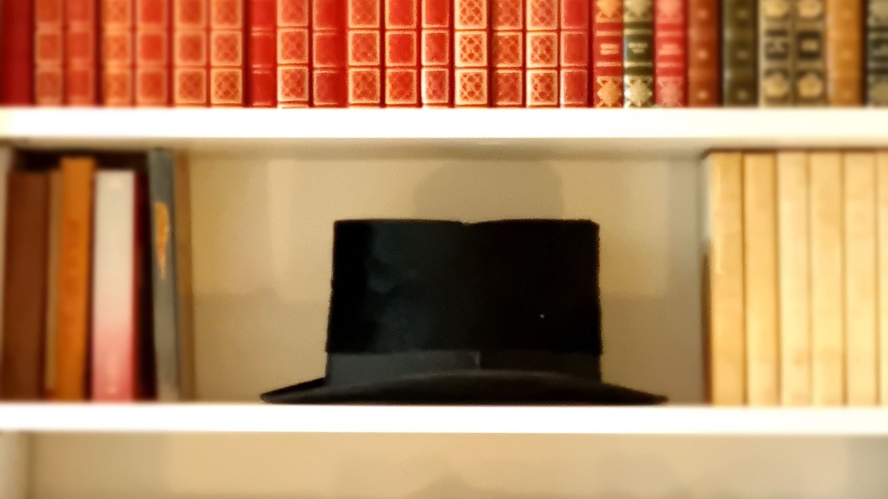 Photo of Others in Lancieux