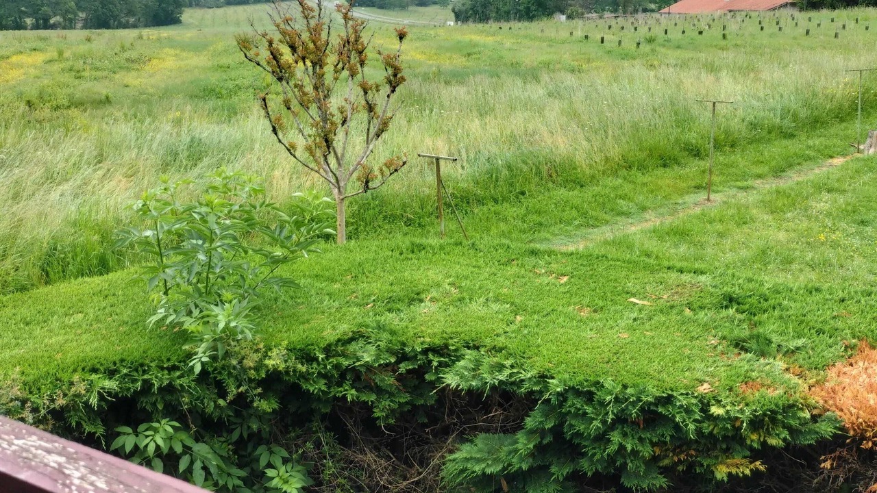 Photo of Outdoor in Barbotan-les-Thermes