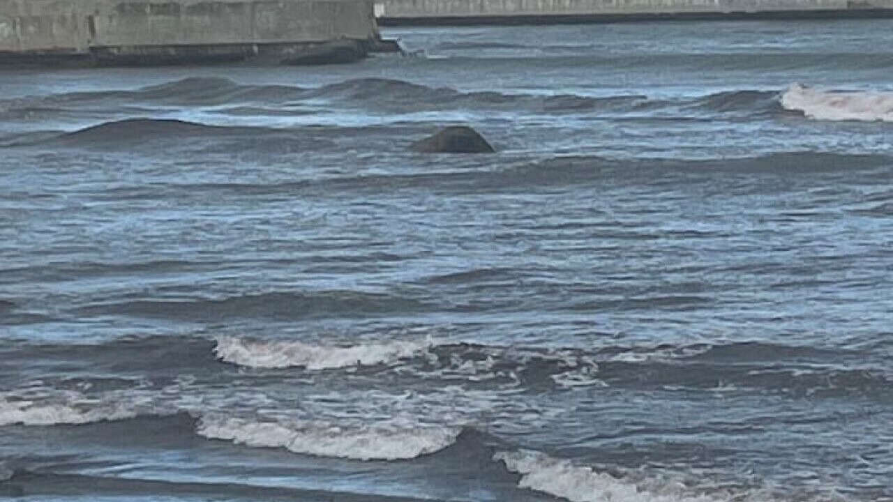 Photo of Others in Swampscott