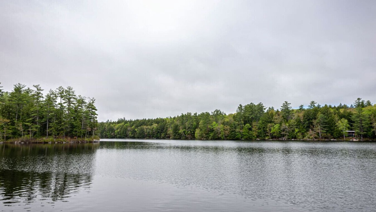Photo of Others in Rome