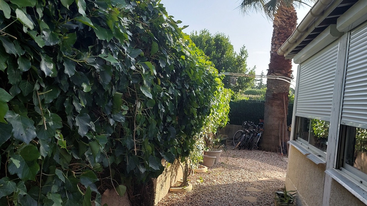 Photo of Outdoor in Perols