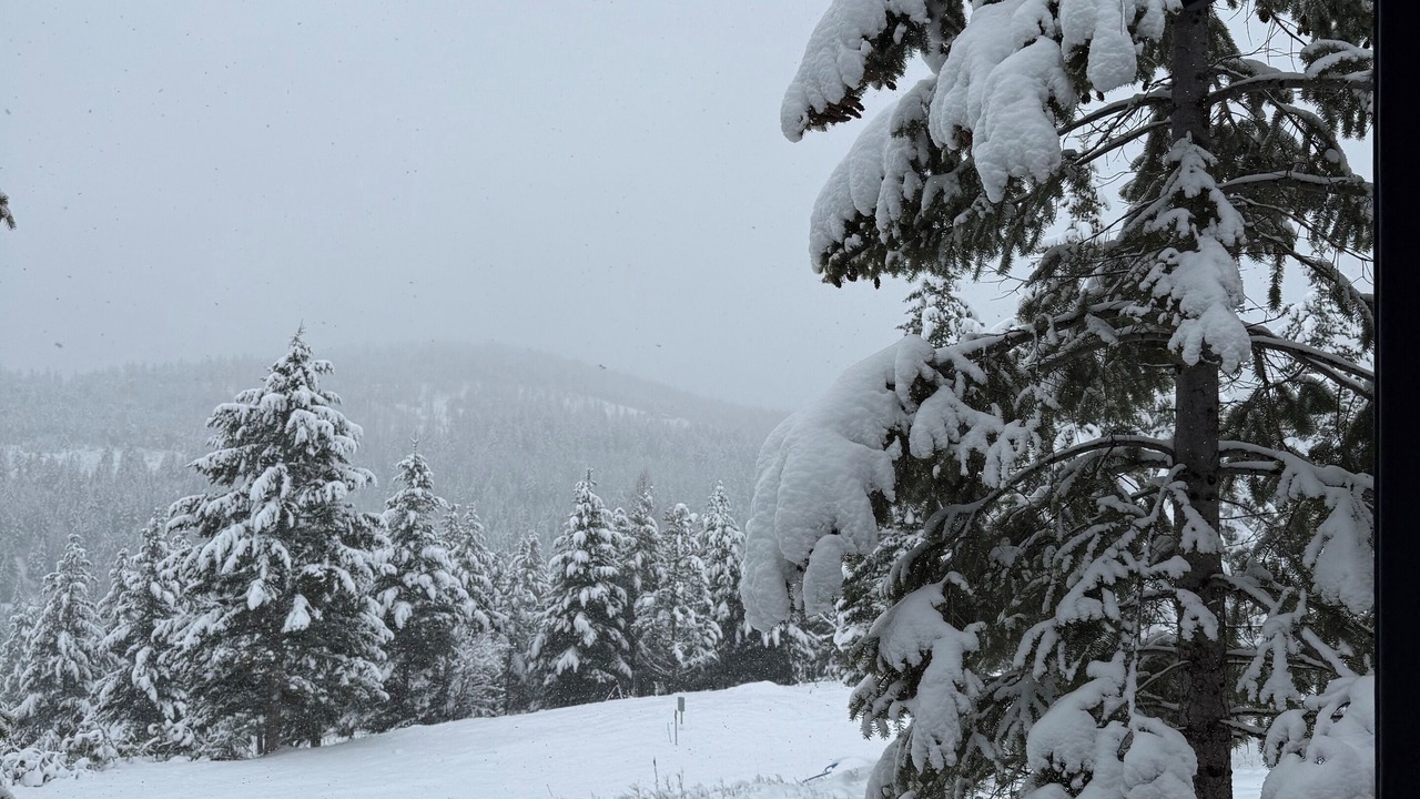 Photo of Others in Kalispell