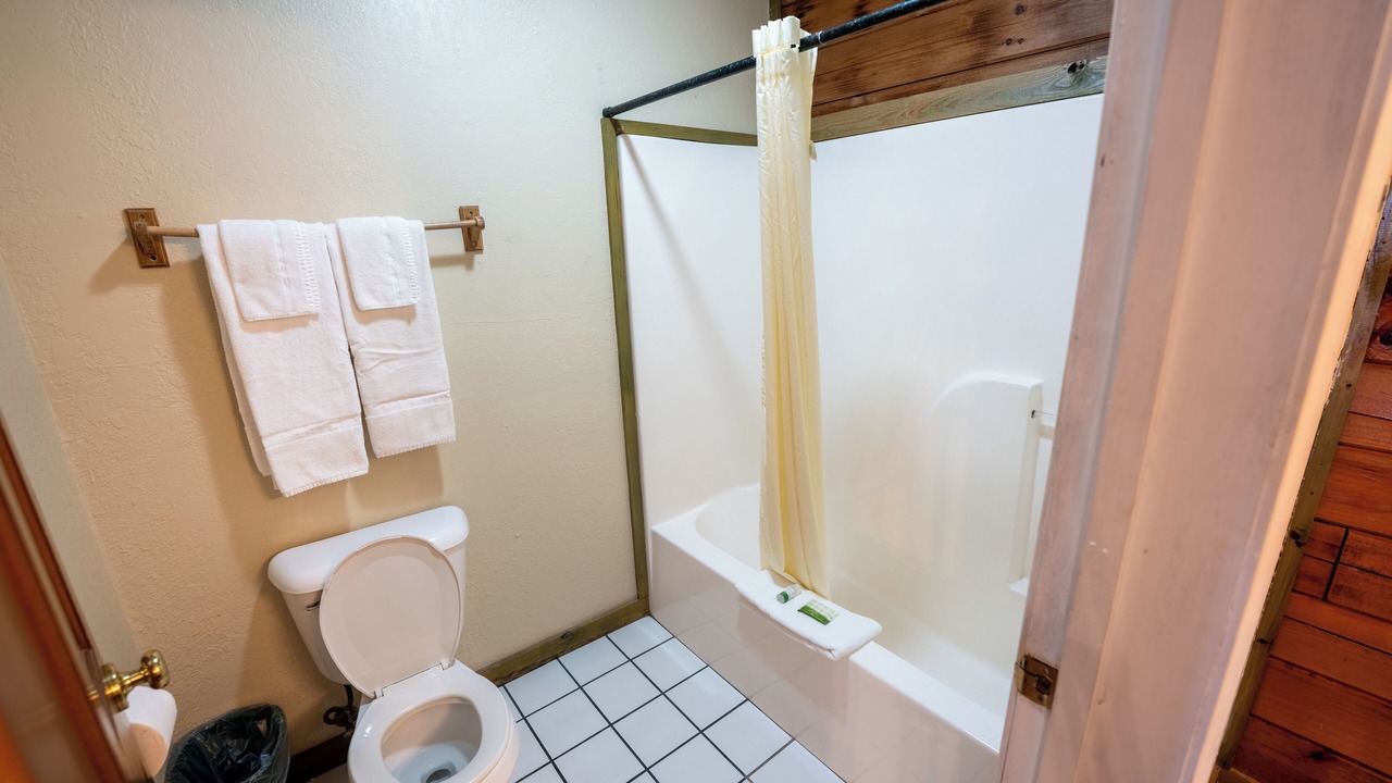 Photo of Bathroom in Buchanan