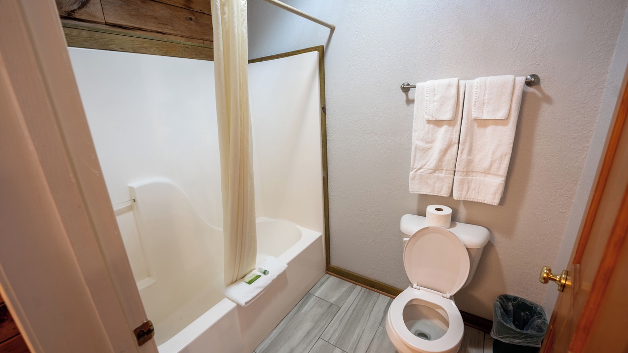 Photo of Bathroom in Buchanan