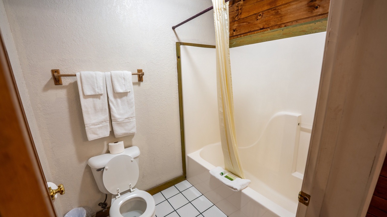 Photo of Bathroom in Buchanan