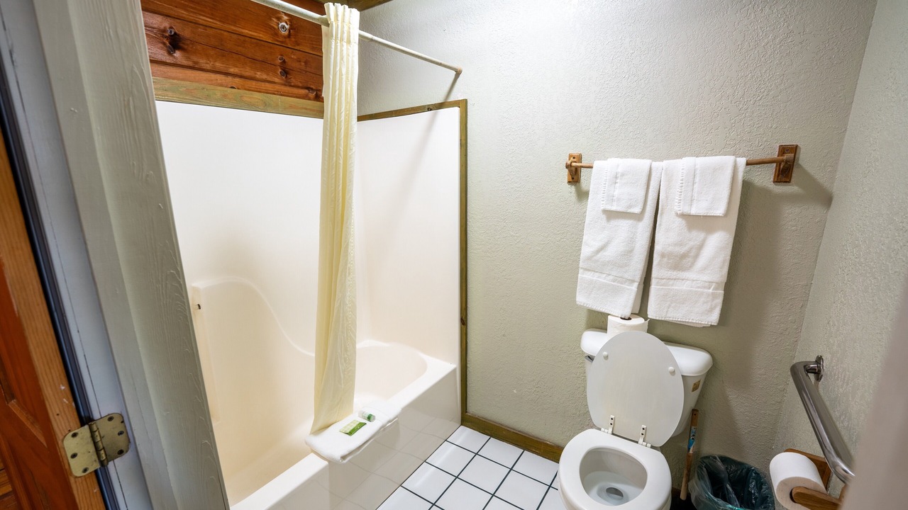 Photo of Bathroom in Buchanan