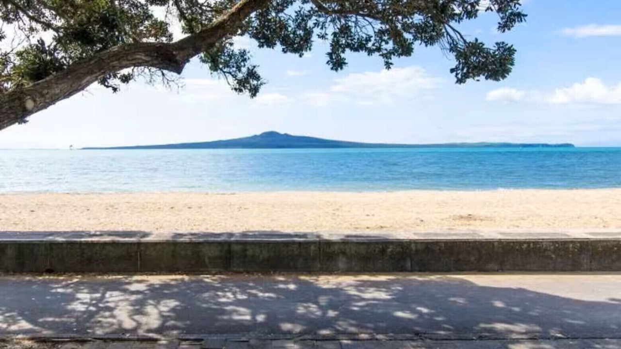 Photo of Others in Mission Bay