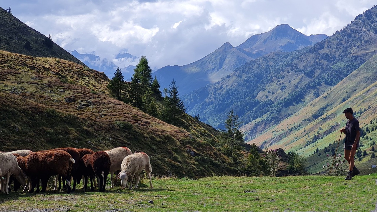 Photo of Others in Luz-Saint-Sauveur