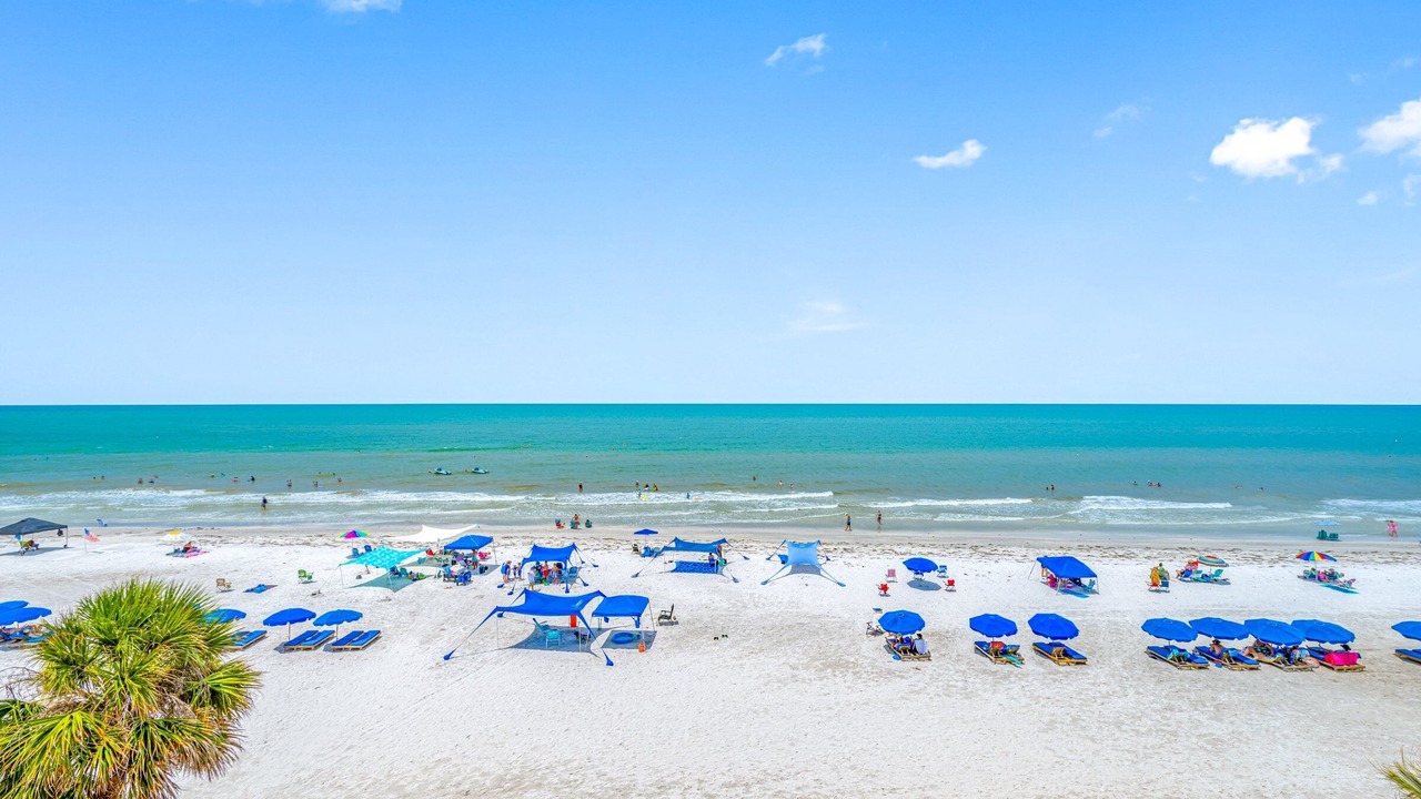 Photo of Others in North Redington Beach