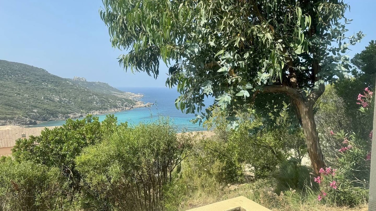 Photo of Outdoor in Tizzano