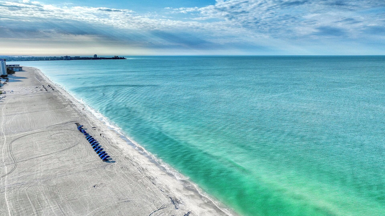 Photo of Others in Sarasota
