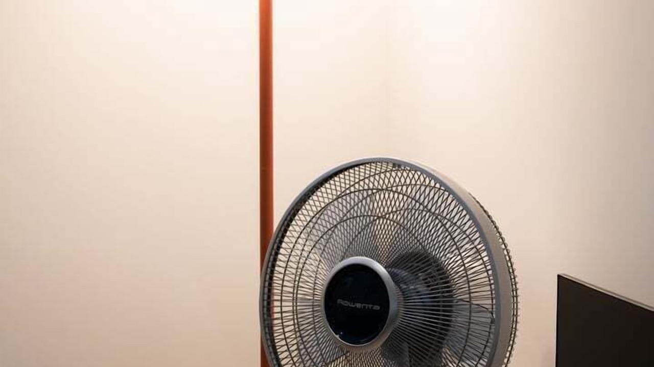 Photo of Others in Griffon - Royale