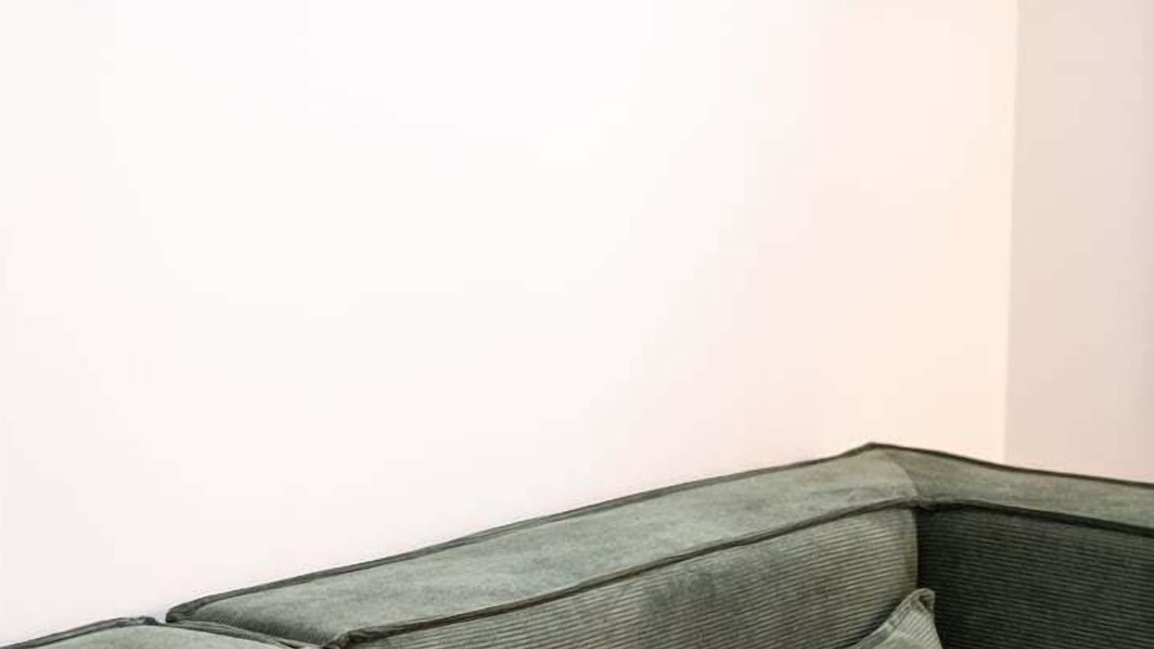 Photo of Others in Griffon - Royale