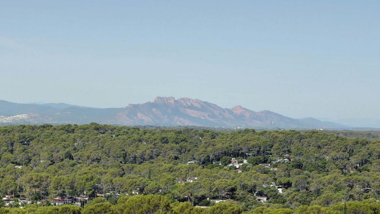 Photo of Others in Frejus