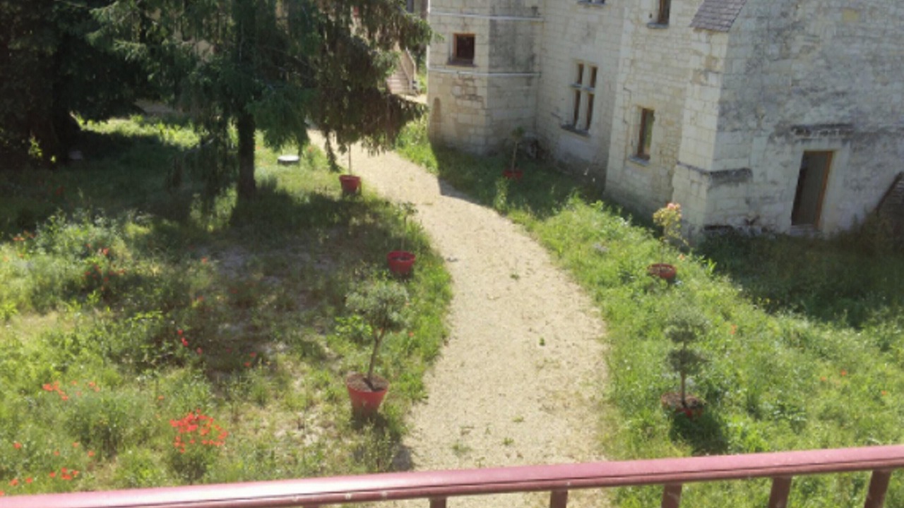 Photo of Outdoor in Courchamps