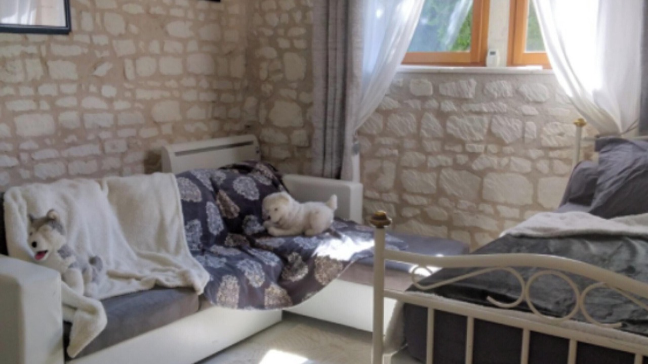 Photo of Livingroom in Courchamps