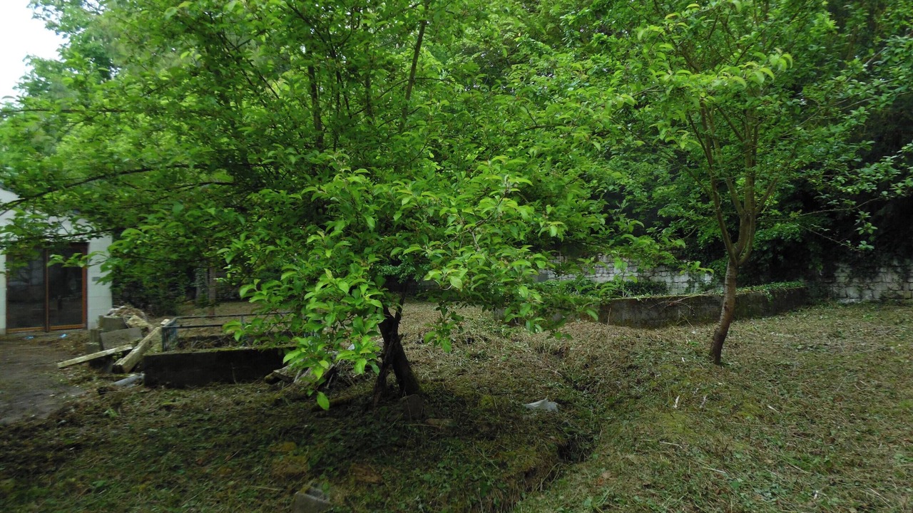 Photo of Outdoor in Courchamps