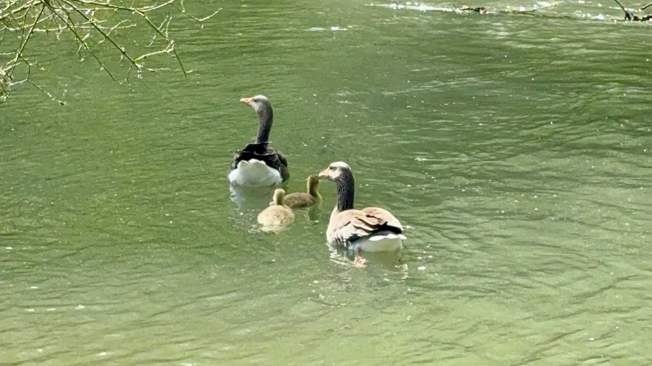 Photo of Outdoor in Authuille