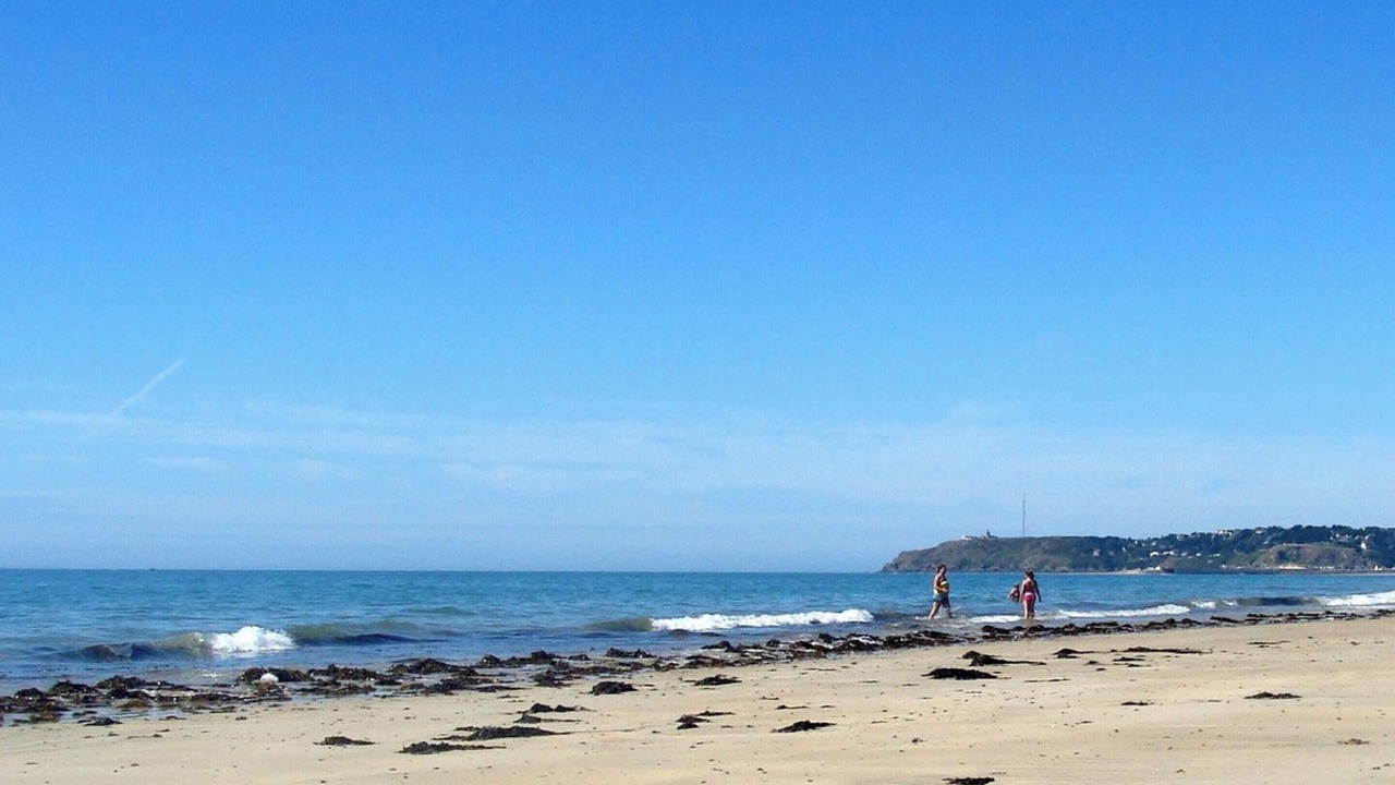 Photo of Others in Nehou