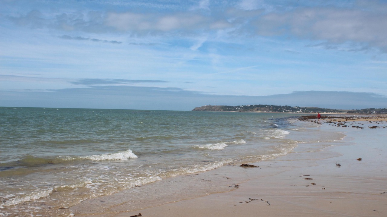 Photo of Others in Nehou