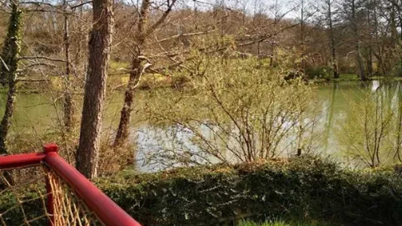 Photo of Outdoor in Estang