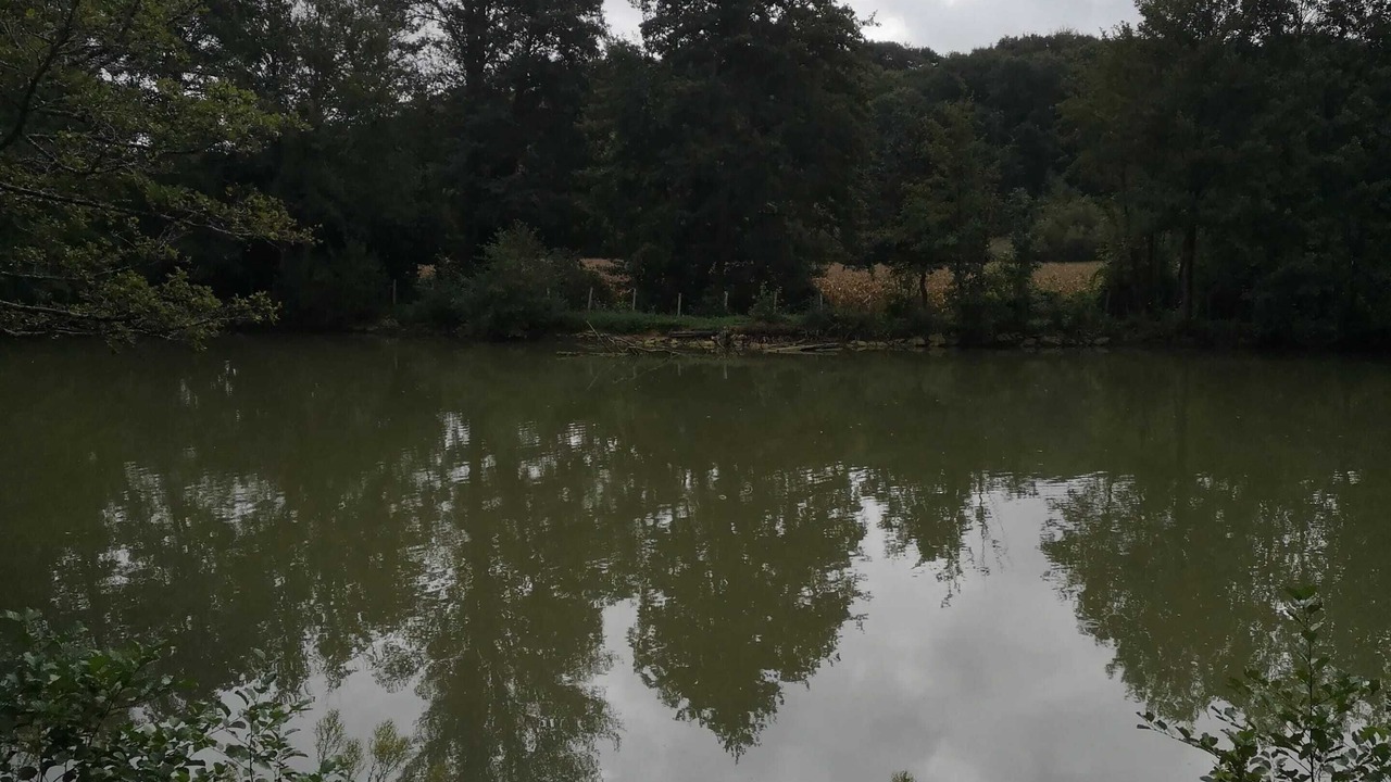 Photo of Outdoor in Estang