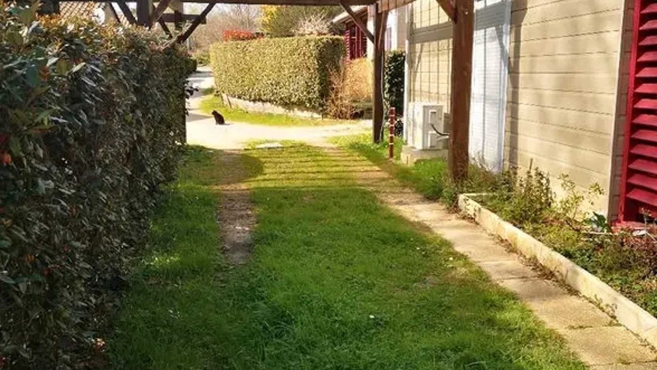 Photo of Outdoor in Estang