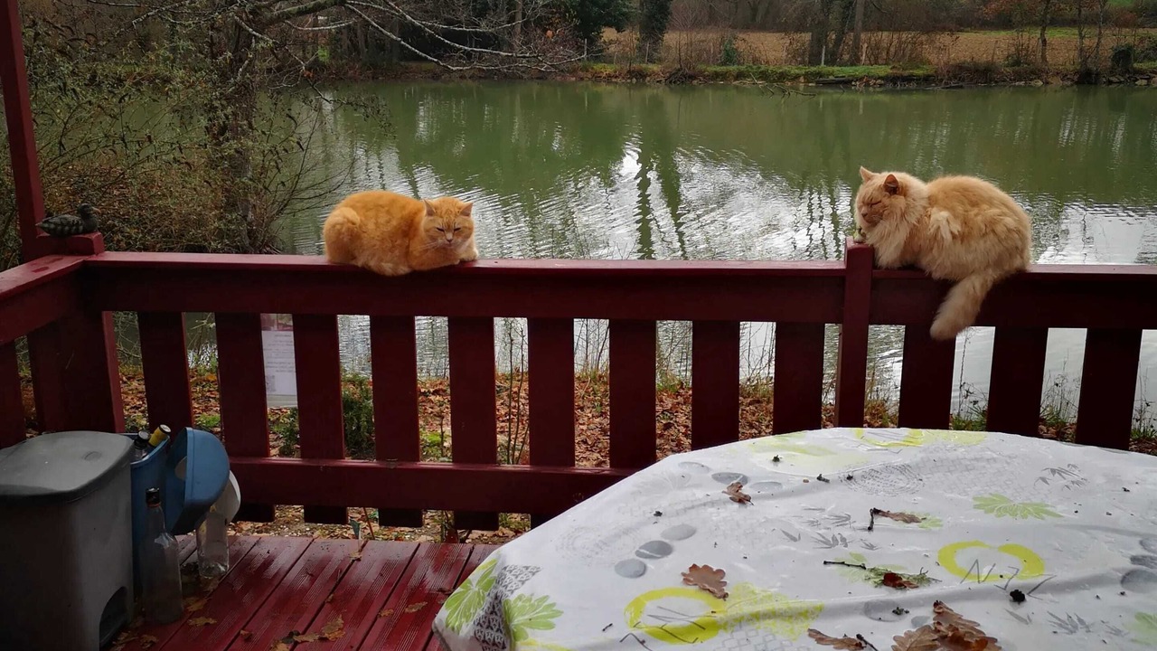 Photo of Outdoor in Estang