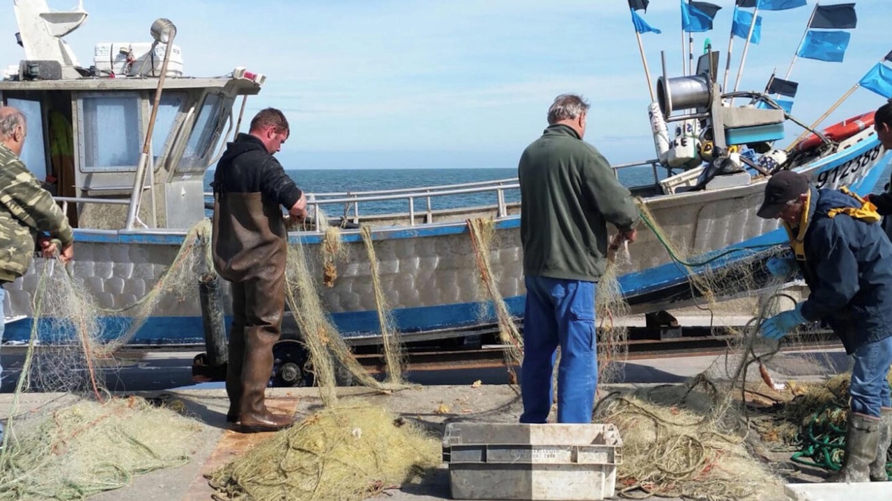 Photo of Others in Pourville-sur-Mer