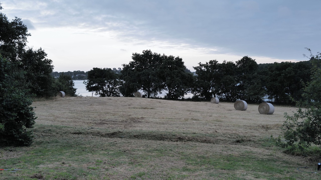 Photo of Others in Vannes