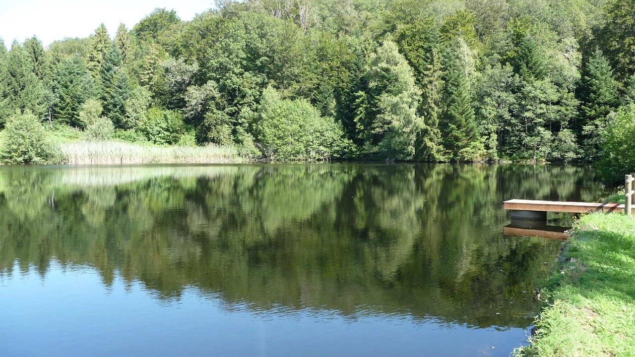Photo of Others in Francourt