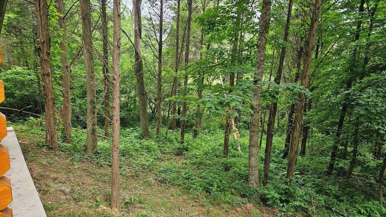 Photo of Others in Madison