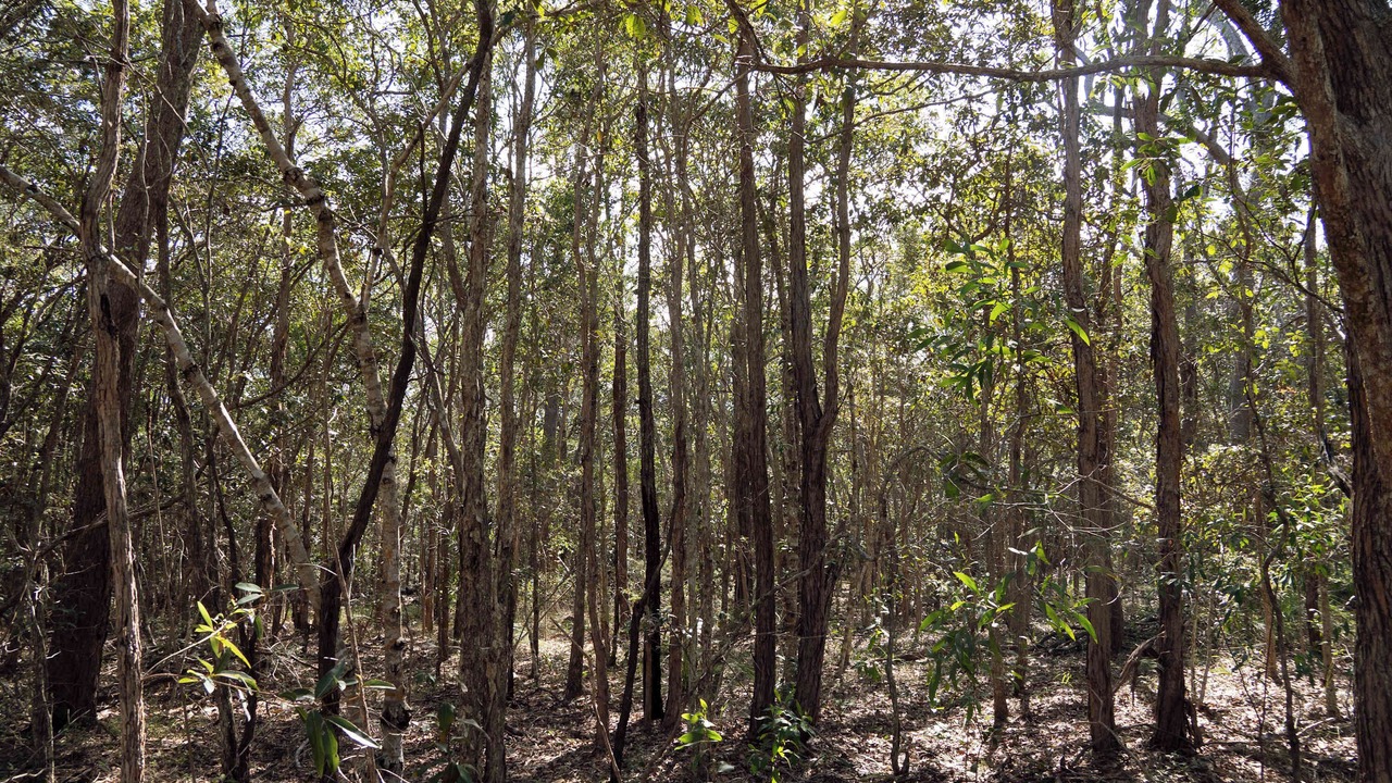 Photo of Others in Booral