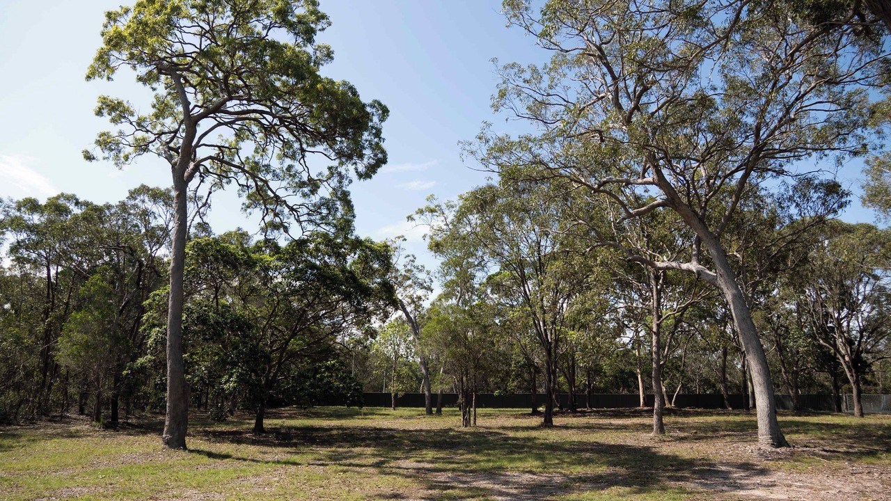 Photo of Others in Booral