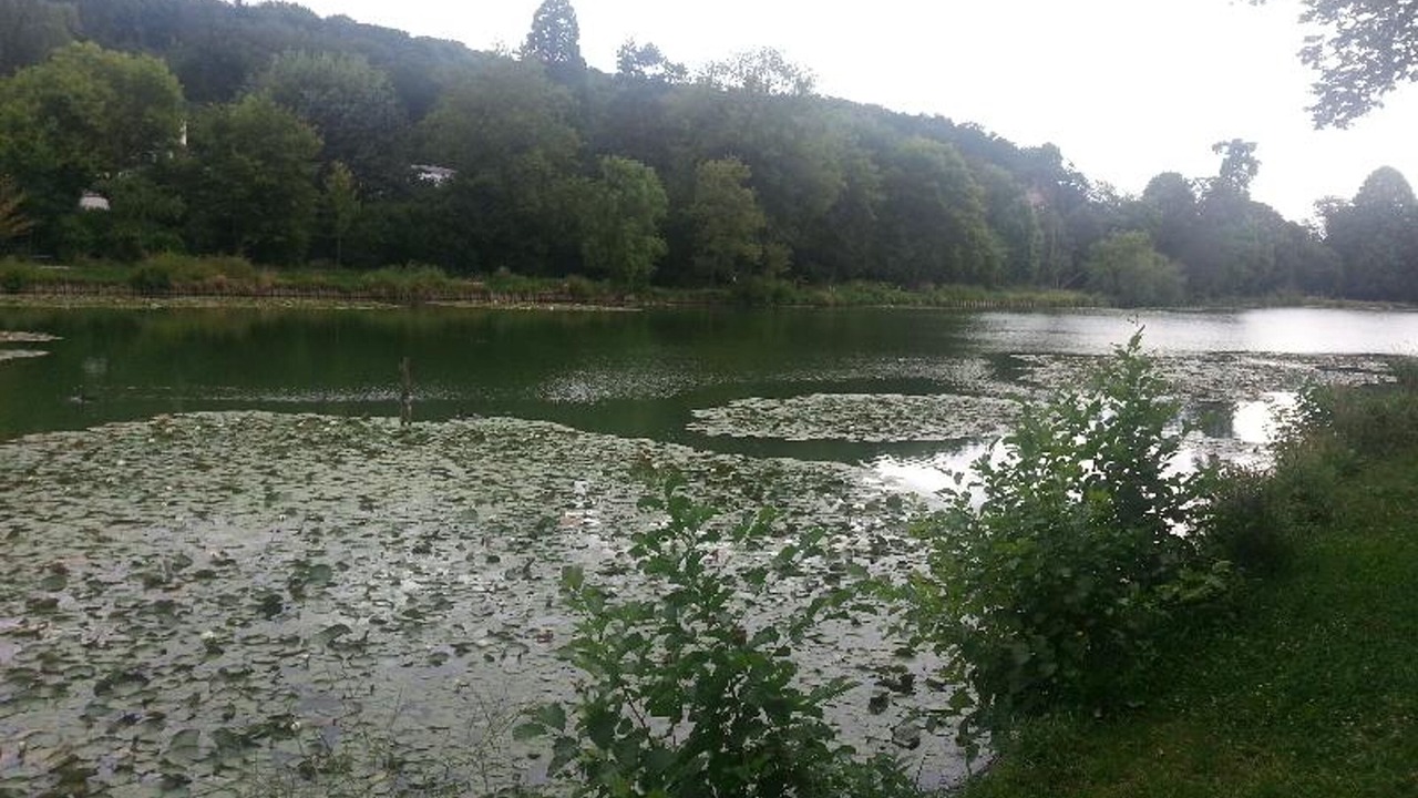 Photo of Others in Ville-d'Avray