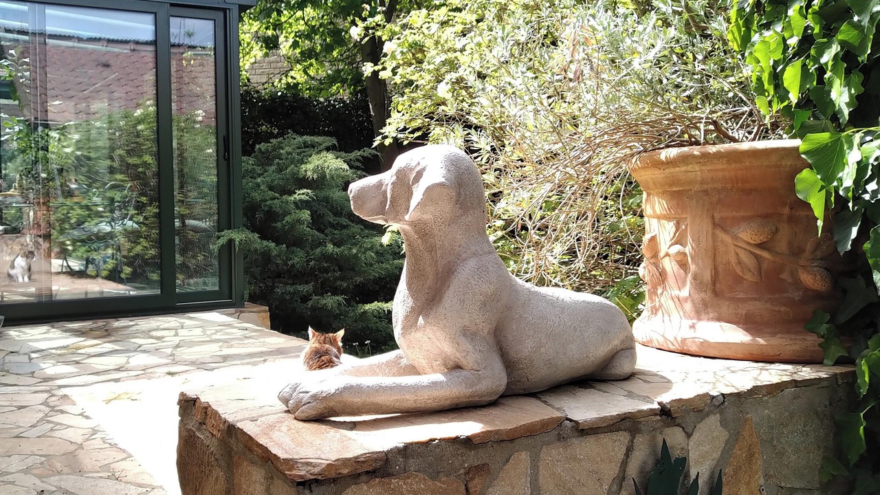 Photo of Outdoor in Ville-d'Avray