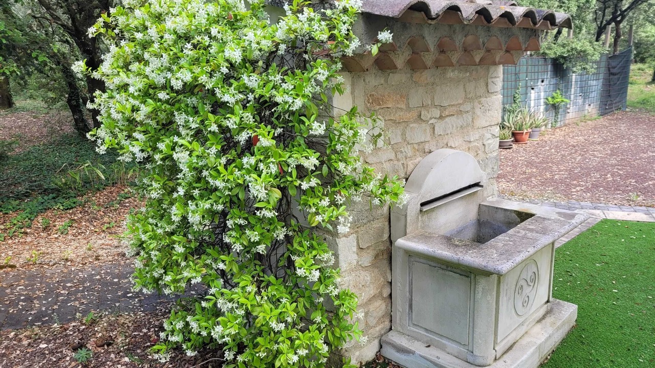 Photo of Outdoor in Chamaret